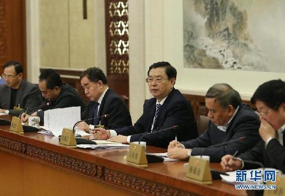 （时政）张德江参加十二届全国人大常委会第六次会议分组审议