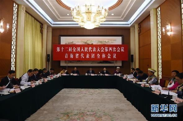 （两会）青海代表团全体会议向媒体开放