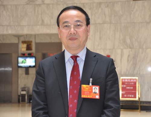 安徽省滁州市市长张祥安 （人民网记者林露-摄）