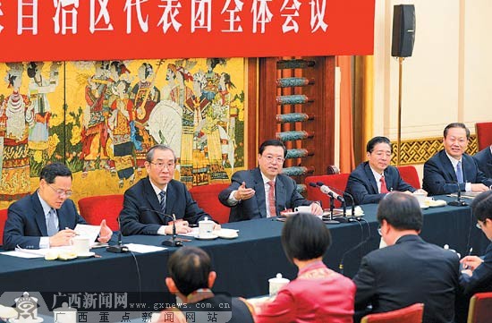 张德江参加广西代表团审议:八桂发展前景会更美好