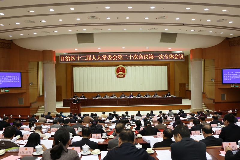 自治区十二届人大常委会第二十次会议召开
