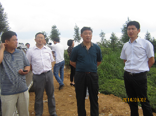 市人大常委会副主任张观涛率队来我县调研现代高效农业示范园区建设