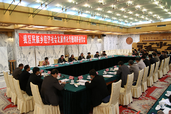 我区民族乡经济社会发展情况专题调研座谈会召开