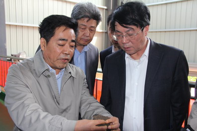 市人大常委会专题调研污水处理厂污泥处理工作3.JPG