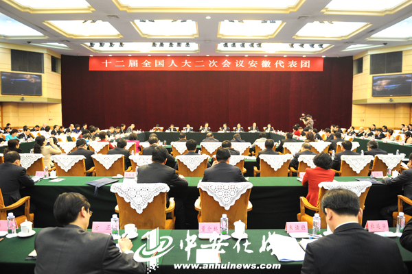 安徽代表团举行全体会议审议政府工作报告