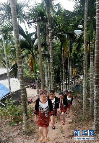 （两会·履职影像记）（5）黄月芳：提高五指山核心生态保护区生态补偿力度