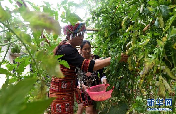 （两会·履职影像记）（7）黄月芳：提高五指山核心生态保护区生态补偿力度