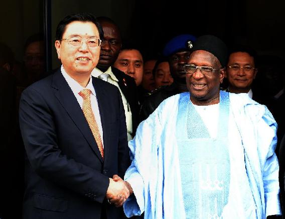 NIGERIA-ABUJA-ZHANG DEJIANG-TUKUR-MEETING