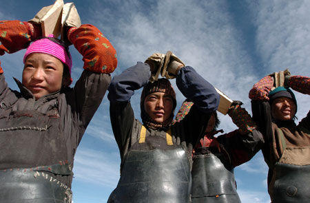 Followers of the Tibetan Buddhism practise kowtow, a ritual in Tibetan Buddhism to express the followers