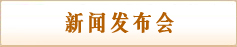 新闻发布会