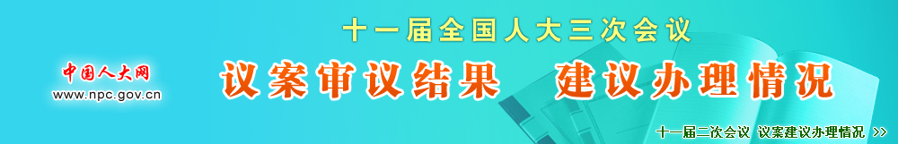 十一届全国人大三次会议　议案审议结果　建议办理