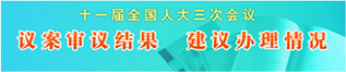 十一届全国人大三次会议 议案审议结果 建议办理情况