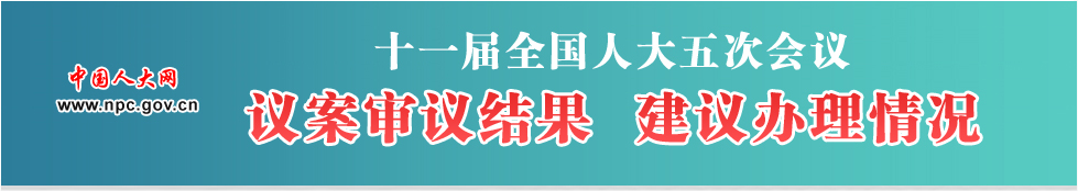 十一届全国人大三次会议　议案审议结果　建议办理