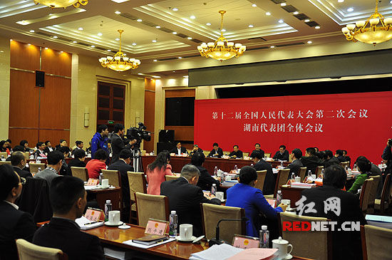 湖南代表团举行第三次全体会议，审查计划和预算报告。