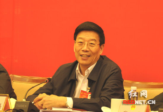 湖南代表团团长徐守盛参加审议。