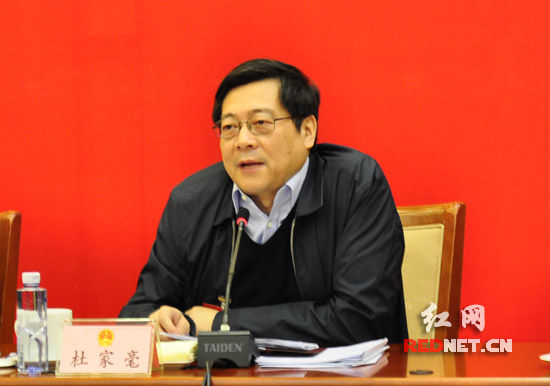 湖南代表团副团长杜家毫参加审议并主持。