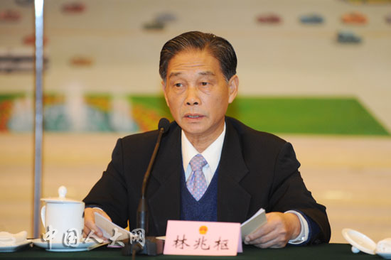 港澳台侨委员会副主任林兆枢,致公党中央副主席严以新,中国侨联主席