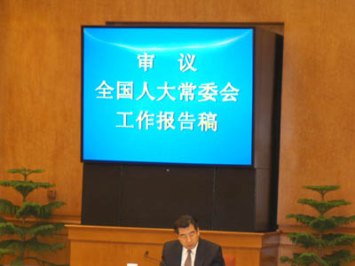 报告稿